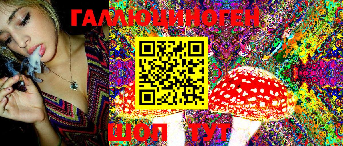 Бийск  Псилоцибиновые грибы ЛСД  Вход с VPN  Галлюциногенные грибы Magic Shrooms 